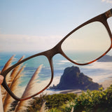 Blue Light Glasses / Blue Blockers