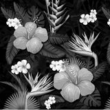 Riot - Matt Black + inner temple print / Smoke
